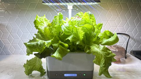 _LEAD-aerogarden-harvest-elite-cnnu-16.jpg