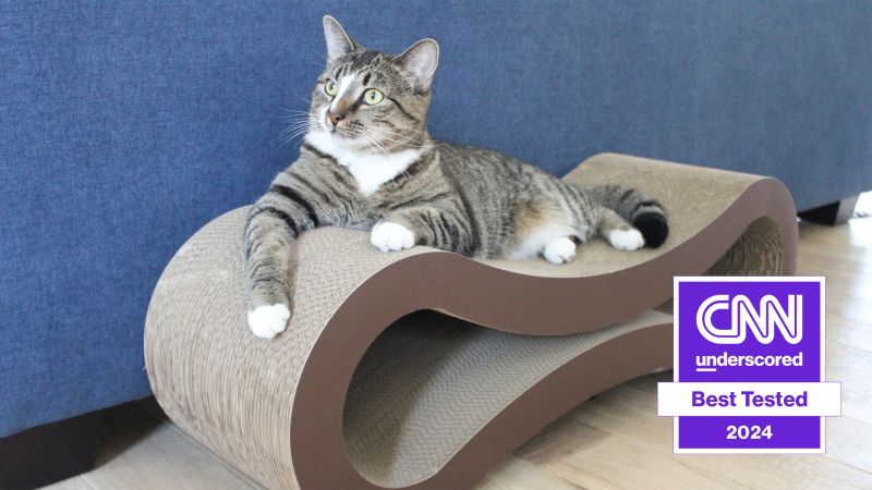 Best vertical cat scratcher best sale