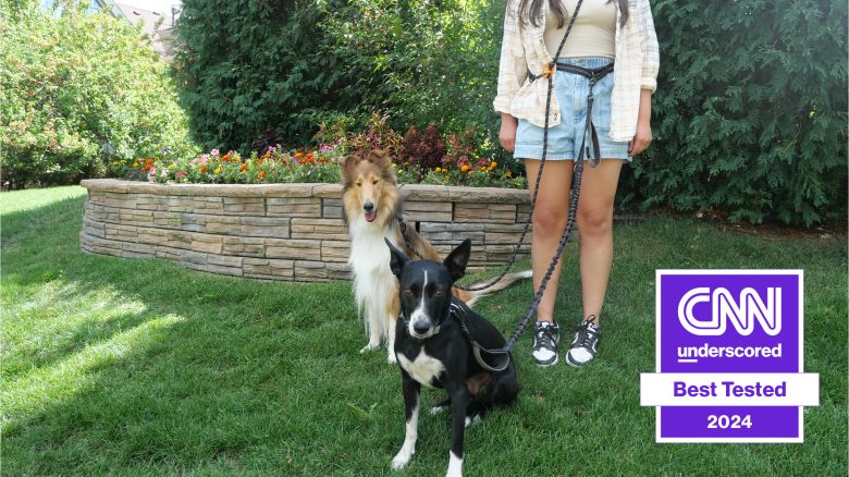 lead-best-hands-free-dog-leash-cnnu.jpg