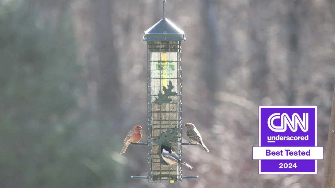 Link to CNN underscored: The best bird feeders in 2024, tried and tested, by Camryn Rabideau, CNN Underscored