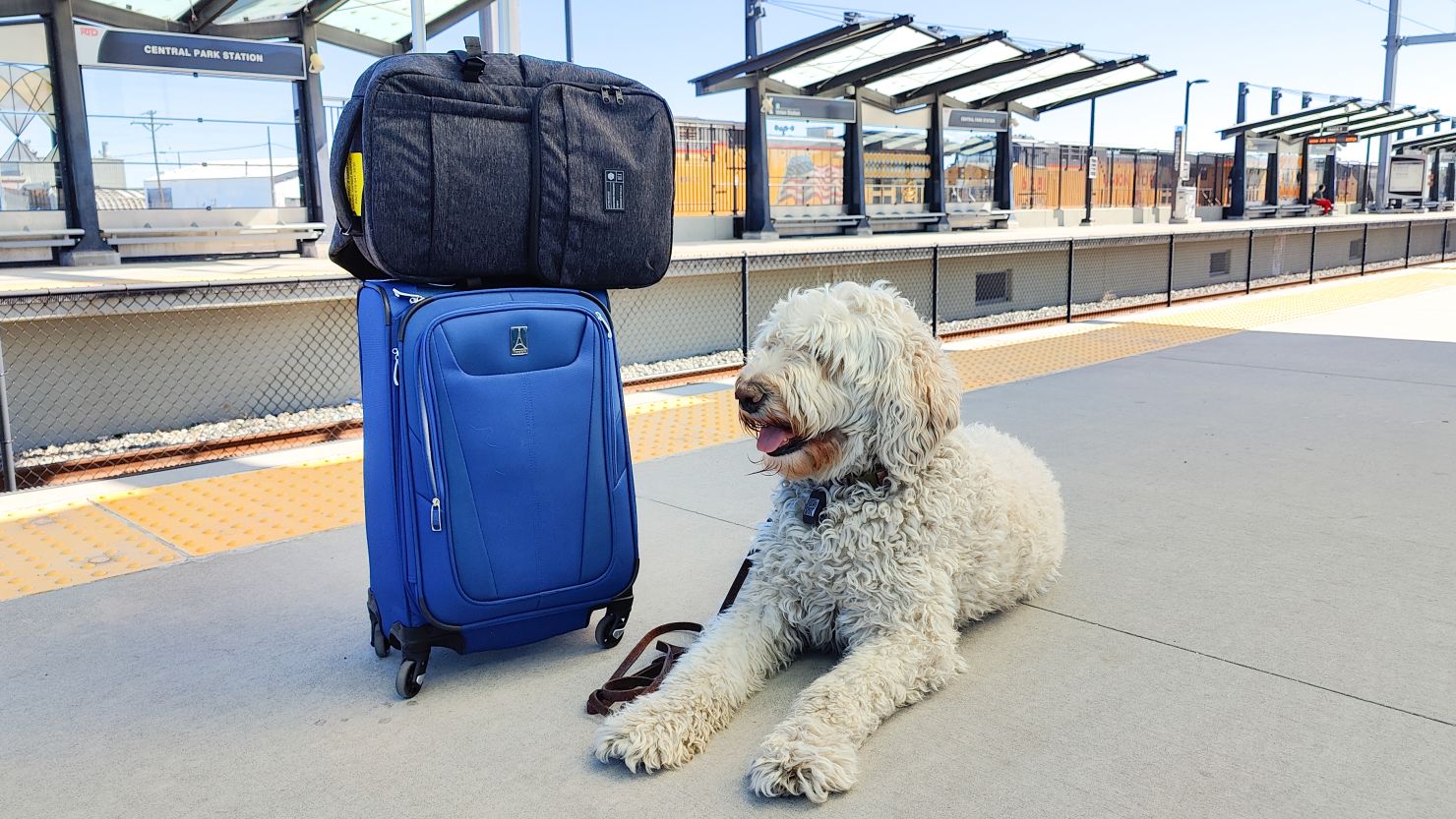 Hex Technical backpack lead image