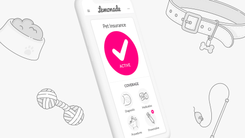 Phone App (1600x900).png