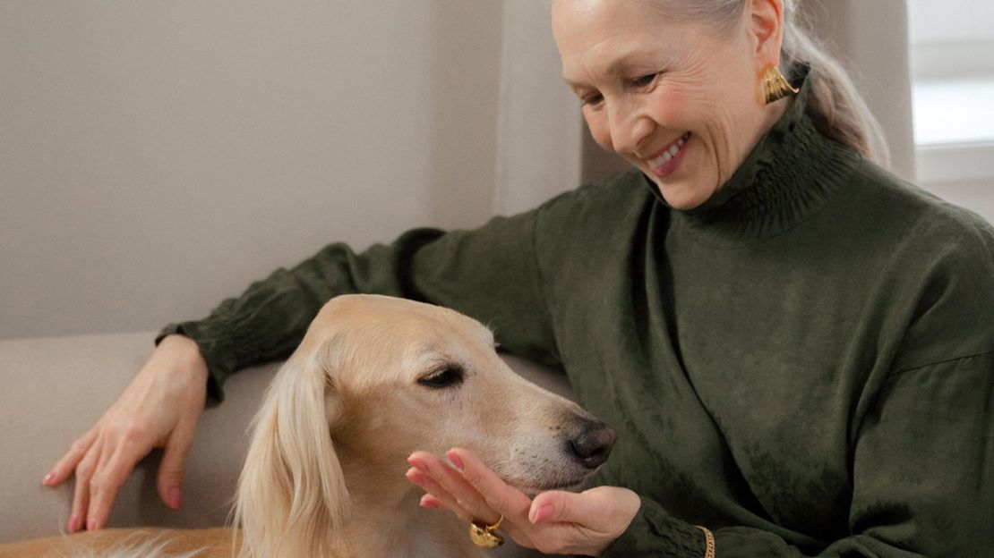 Lemonade pet & renters insurance cost savings bundle CNN Underscored