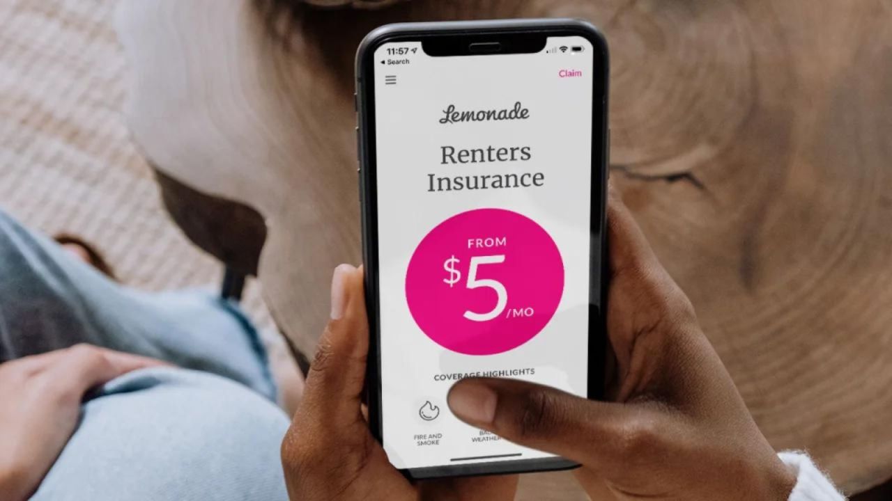 Lemonade pet & renters insurance cost savings bundle CNN Underscored