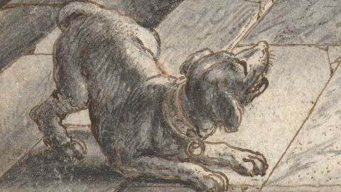 Detail of the dog, Adriaen Pietersz van de Venne, Frontispiece Design for Jacob Cats, Self-Strijt, 1619.