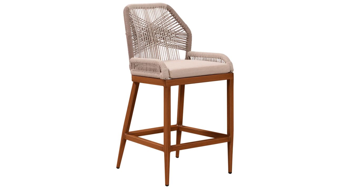 Lesley Metal Frame Patio Bar Stool with Cushion .jpg