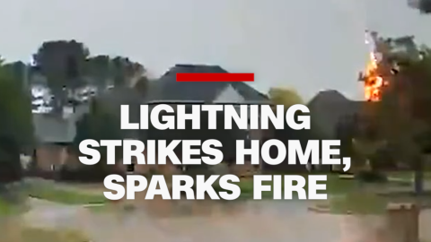 light vrt.png