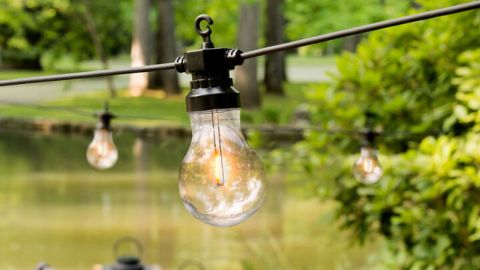 Lights.com Piper 20 LED Outdoor Retro Bulb