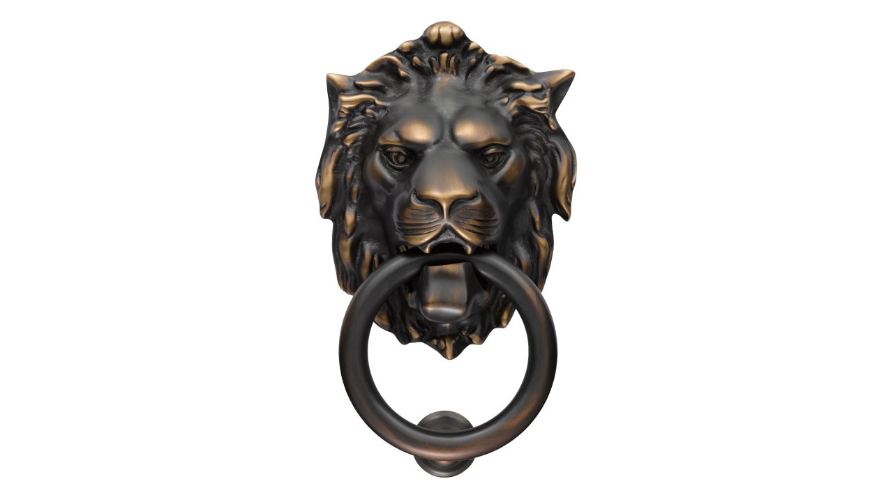 lion door card.jpg