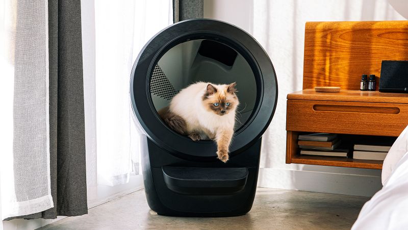 Automatic litter box that uses regular litter sale