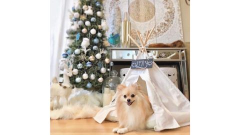 Little Dove Pet Teepee