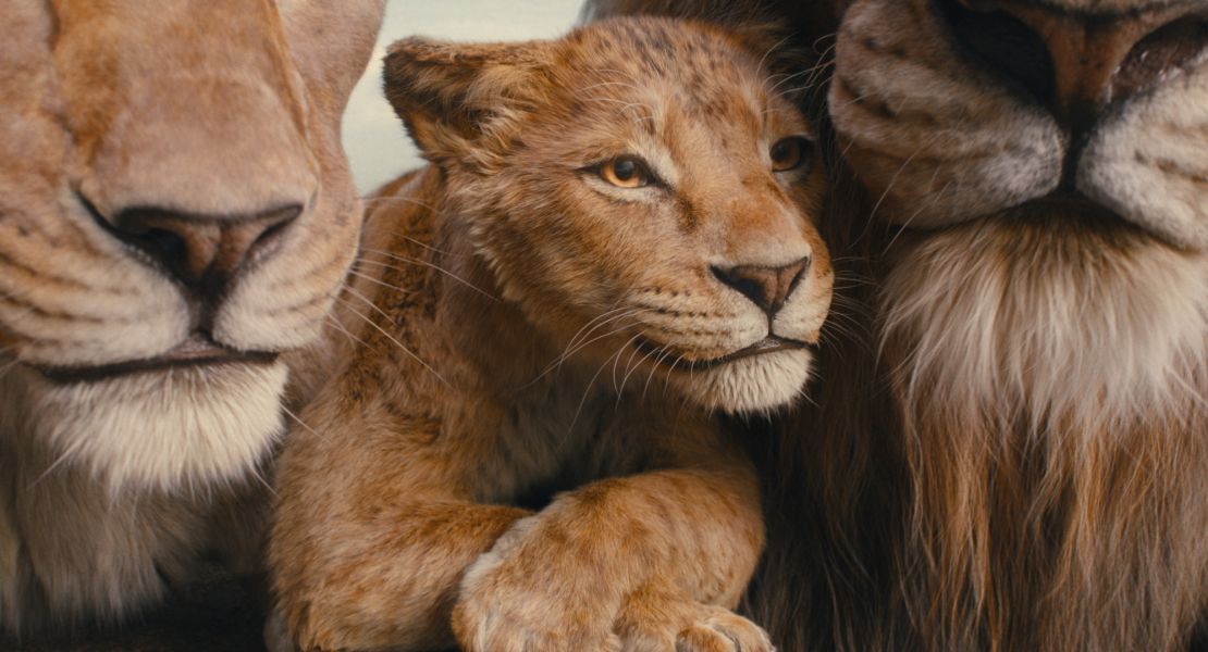 "Mufasa: The Lion King" tells the story of the King of the Pride Lands from cub to grown lion.