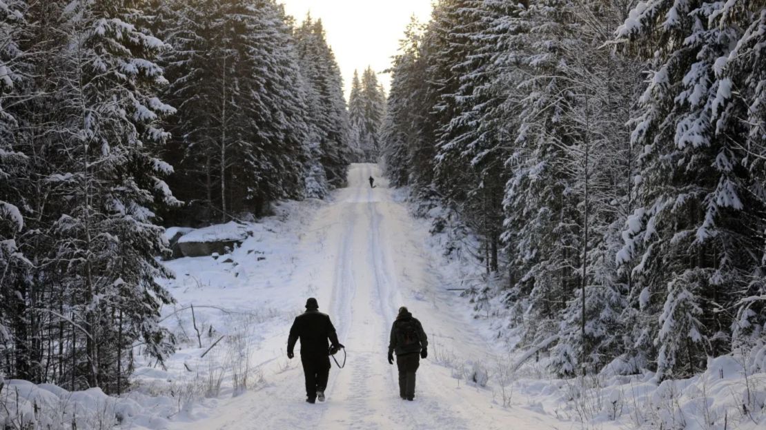 Cazadores asisten a una caza de lobos en enero de 2010 cerca de Kristinehamn, Suecia.