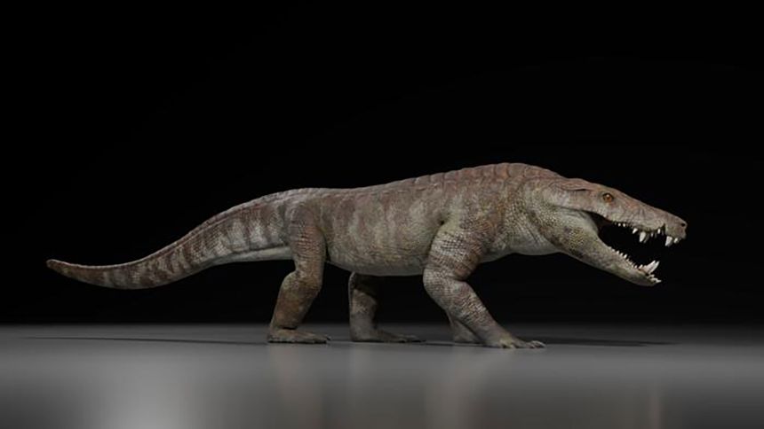 An artist's rendering of the newly discovered species of peirosaurid crocodyliform, which lived toward the end of the Cretaceous period and may have been semiaquatic.