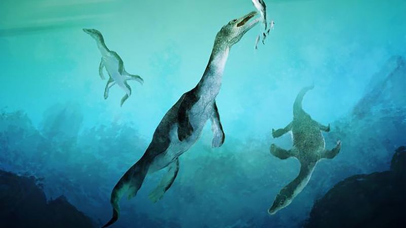 Учените откриха фосил на морско влечуго на 246 милиона години
