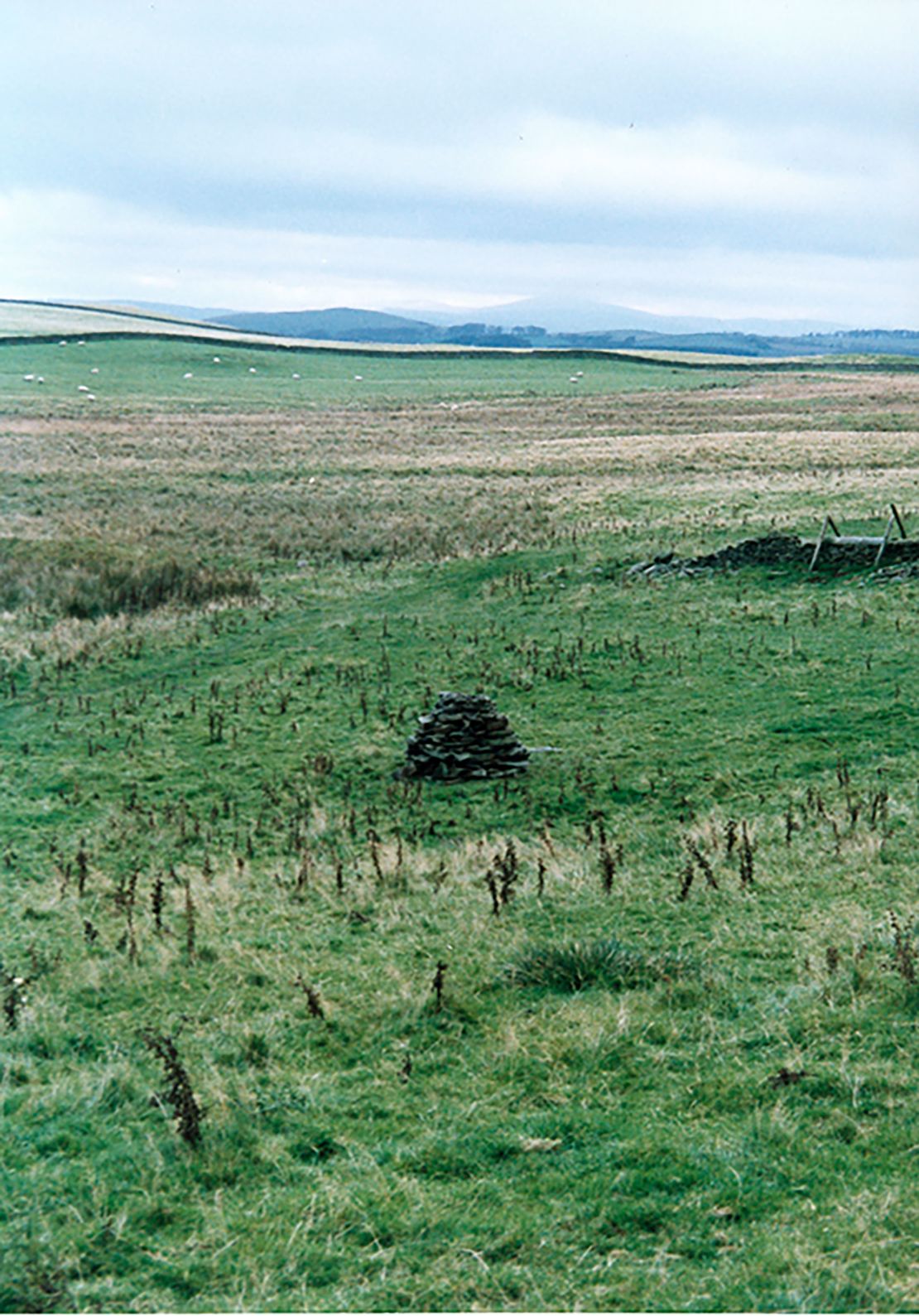 The site where Alexander Lowenstein's body was found in Lockerbie.