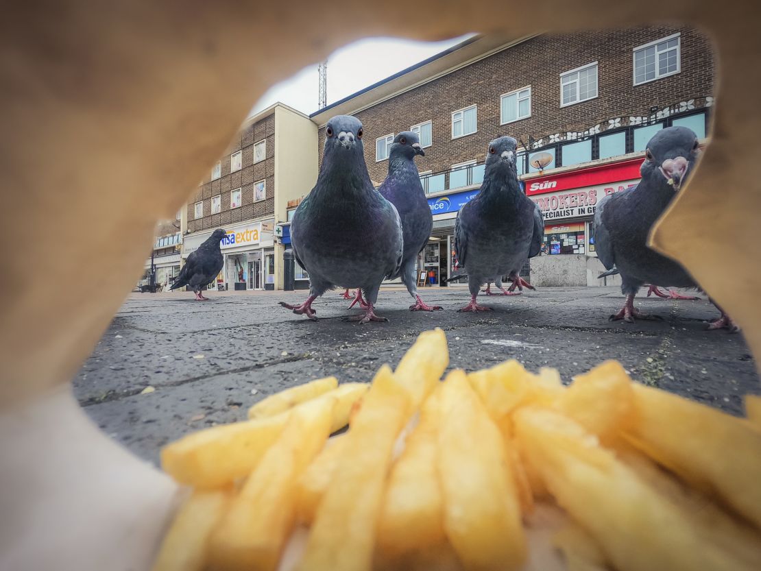 Pigeons eye up a discarded packet of chips in Ben Lucas' winning photo.