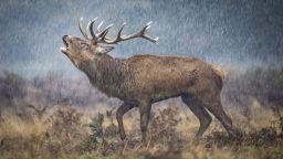 LowRes-RU-BWPA-2025-16.jpg