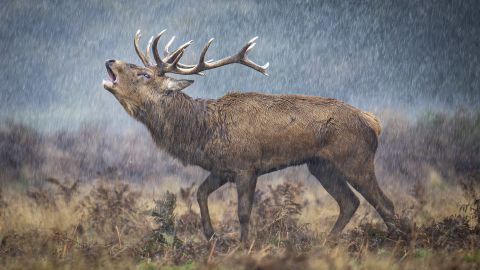 LowRes-RU-BWPA-2025-16.jpg