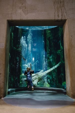 <strong>Great Lakes Aquarium: </strong>This aquarium on the Duluth waterfront features animals and habitats found within the Great Lakes Basin and other freshwater ecosystems.