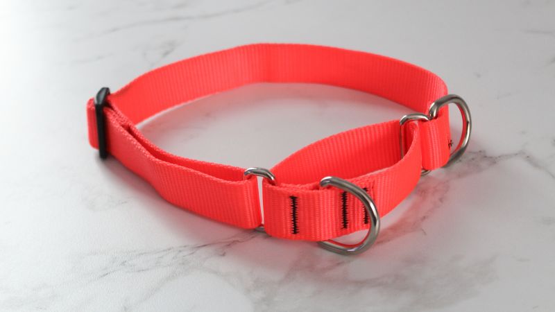 Best rated dog collars hotsell