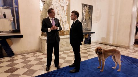 Macron Quest Elysee art THUMB 50.jpg
