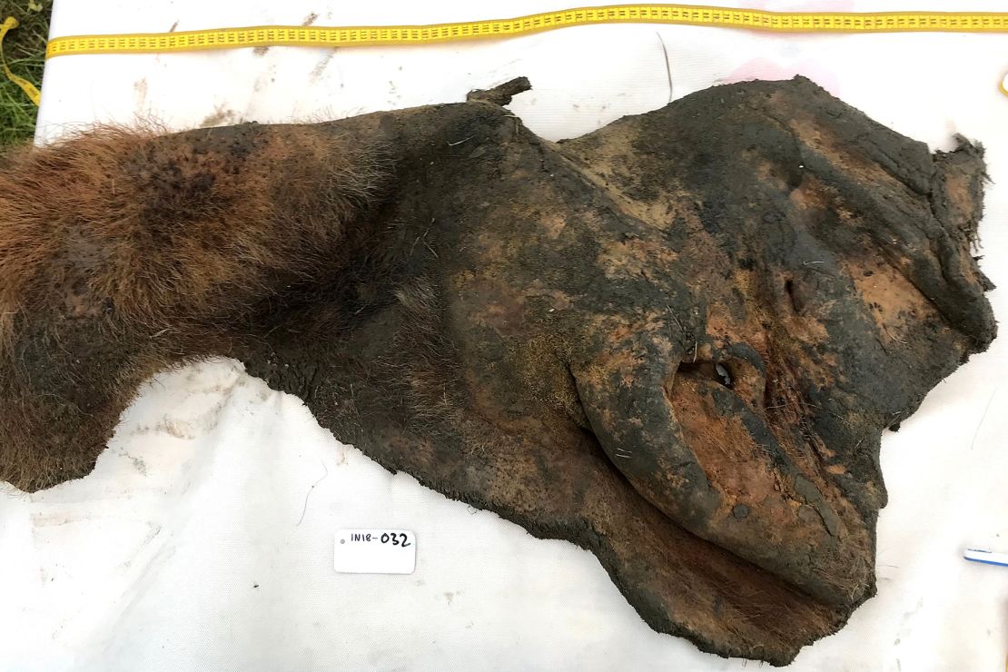 Scientists excavate 52,000-year-old woolly mammoth skin from Siberian permafrost.