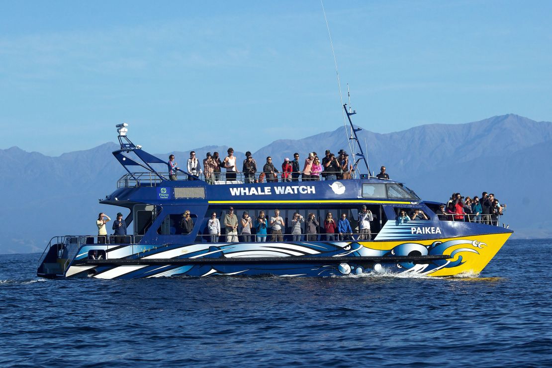 A Whale Watch Kaikōura boat full of tourists viewing sperm whales off the coast of South Island, New Zealand.