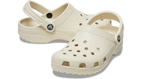 classic crocodile