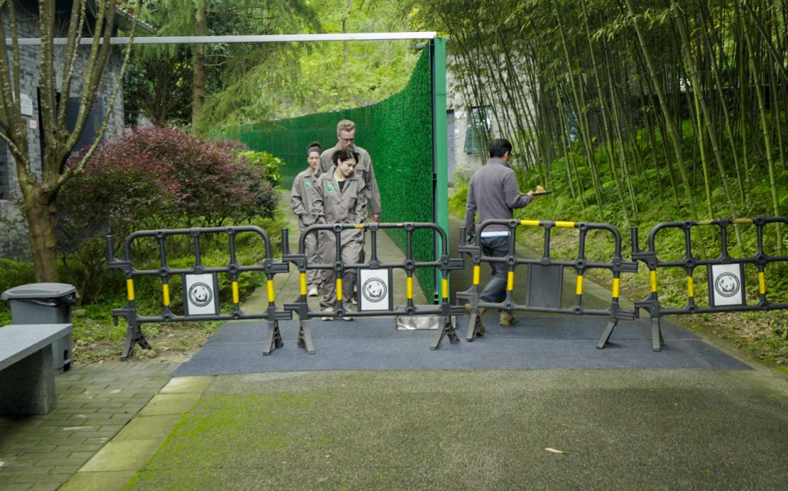 Keepers from the National Zoo follow their Chinese counterpart to feed the two Washington-bound pandas in quarantine in Dujiangyan, China on October 13, 2024.