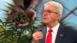 Marihuana.jpg