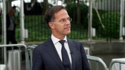Mark Rutte.jpg