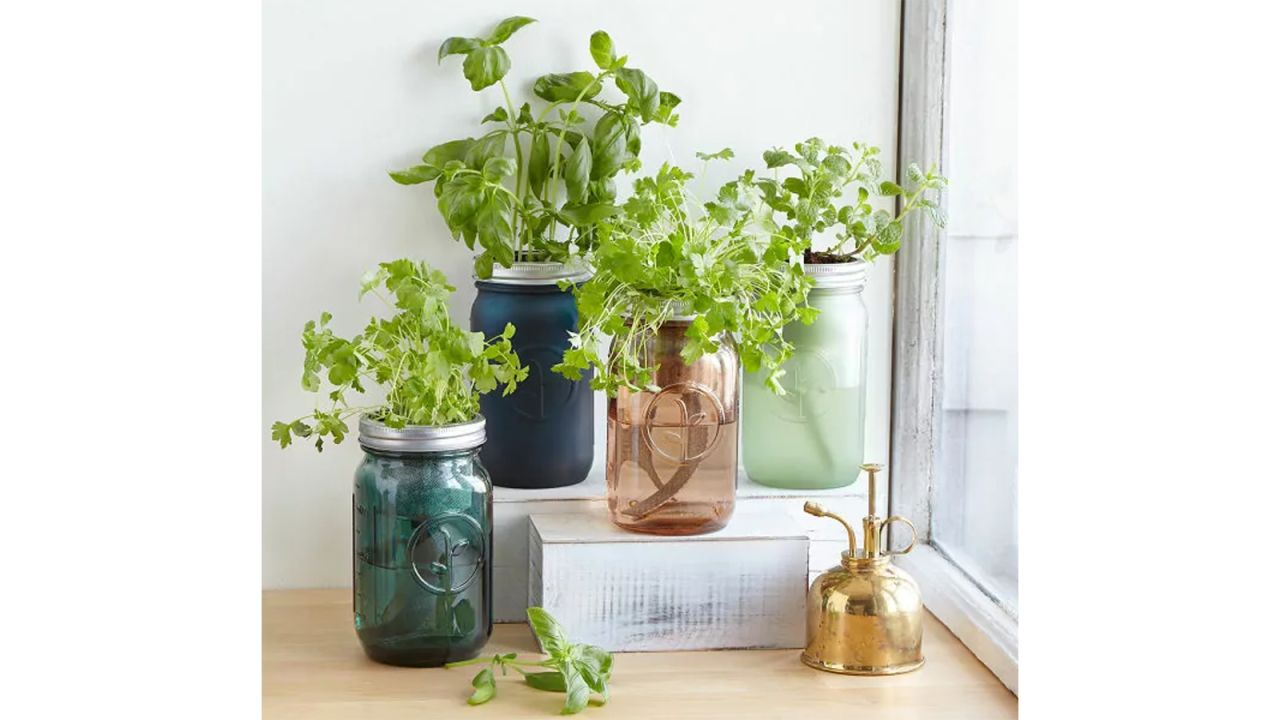 herb jars_.jpg