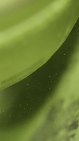 matcha powder.Still003.jpg