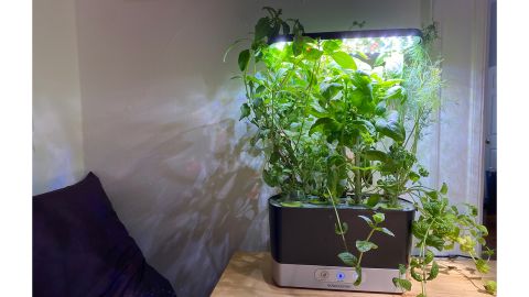 AeroGarden Harvest