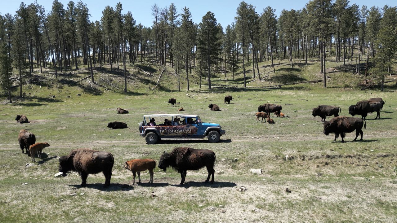 McKennaEwen_112447_ RapidCity_DJI_0169.MP4.00_04_59_12.Still007.jpg