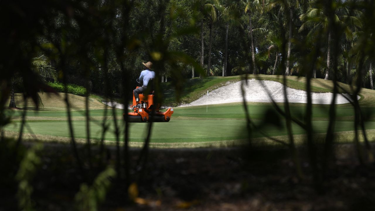 This photo taken on Wednesday, September 18, shows the secluded spot where it is believed that Ryan Routh spent nearly 12 hours positioned on Sunday.