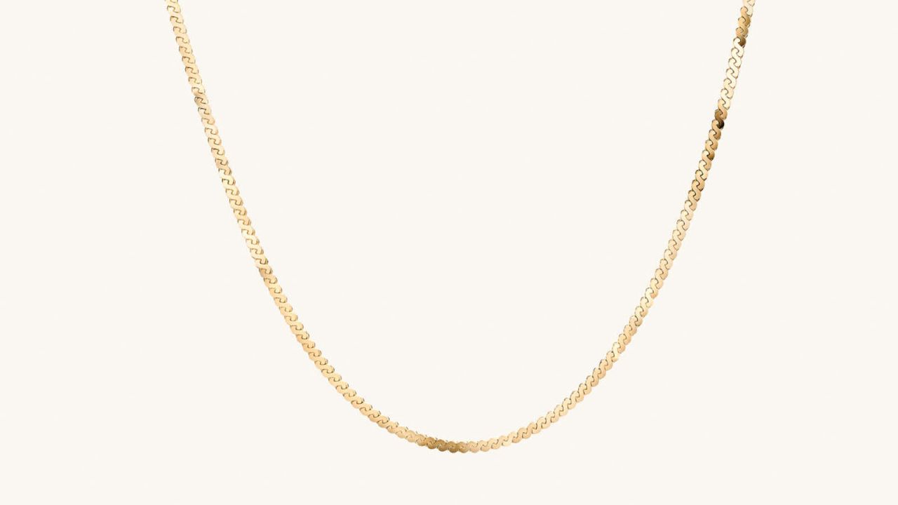 Mejuri Serpentine Chain Necklace.jpg