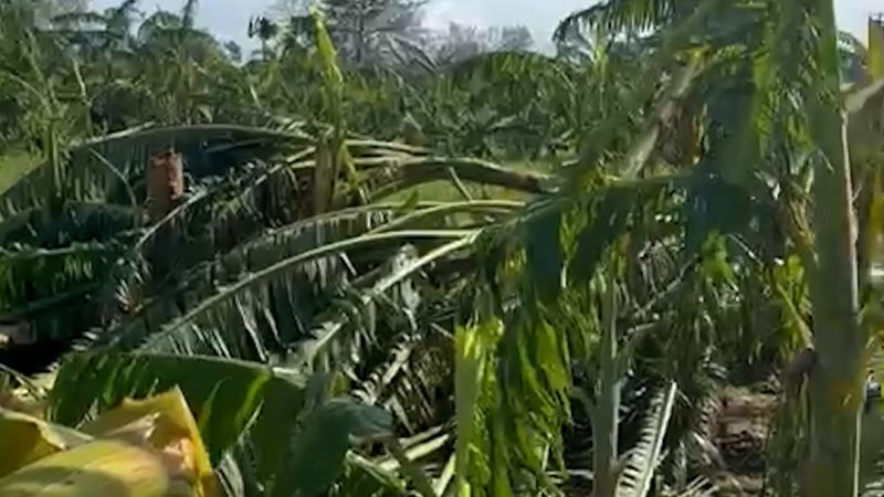 Crop and home devastation in Cuba from Hurricane Melissa
