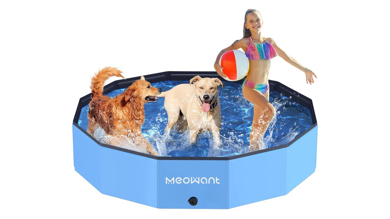 Dog pool with two dogs and child playing inside.