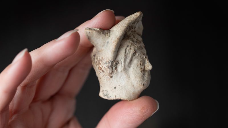 Откриването на рядка керамична глава разкрива неизвестно досега римско селище