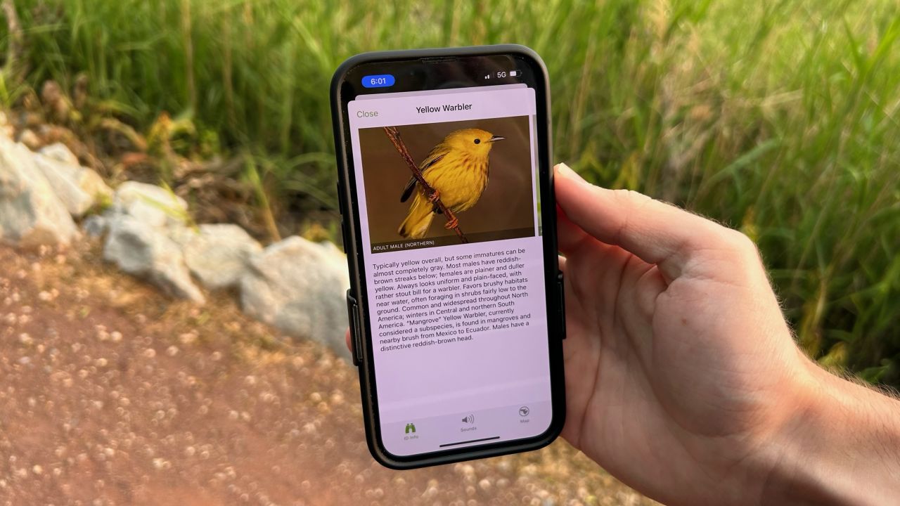 The Merlin Bird ID app is unmatched in its ability to identify birds through your descriptions, images and sound recordings.