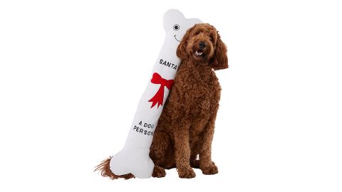 Merry & Bright Extra large plush dog skeleton