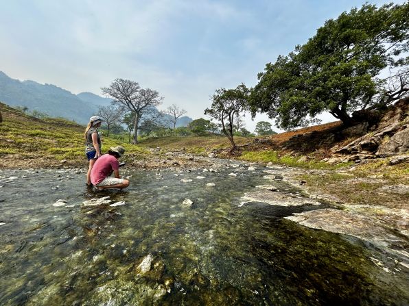 Michael Köck, along with Chester Zoo in England and Michoacana University in Mexico, is behind what he says is the only successful reintroduction of goodeids from captive populations in the world – that of the Tequila splitfin. He has since been involved in similar reintroductions of other freshwater fish elsewhere in the country. Pictured, students collect environmental data in La Esperanza spring, Tabasco, Mexico, a sulfide spring inhabited by fish kept in Michael Tobler’s lab.