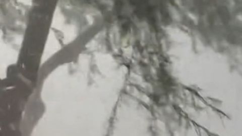 Microburst strikes Phoenix area-CL-vrtc.jpg