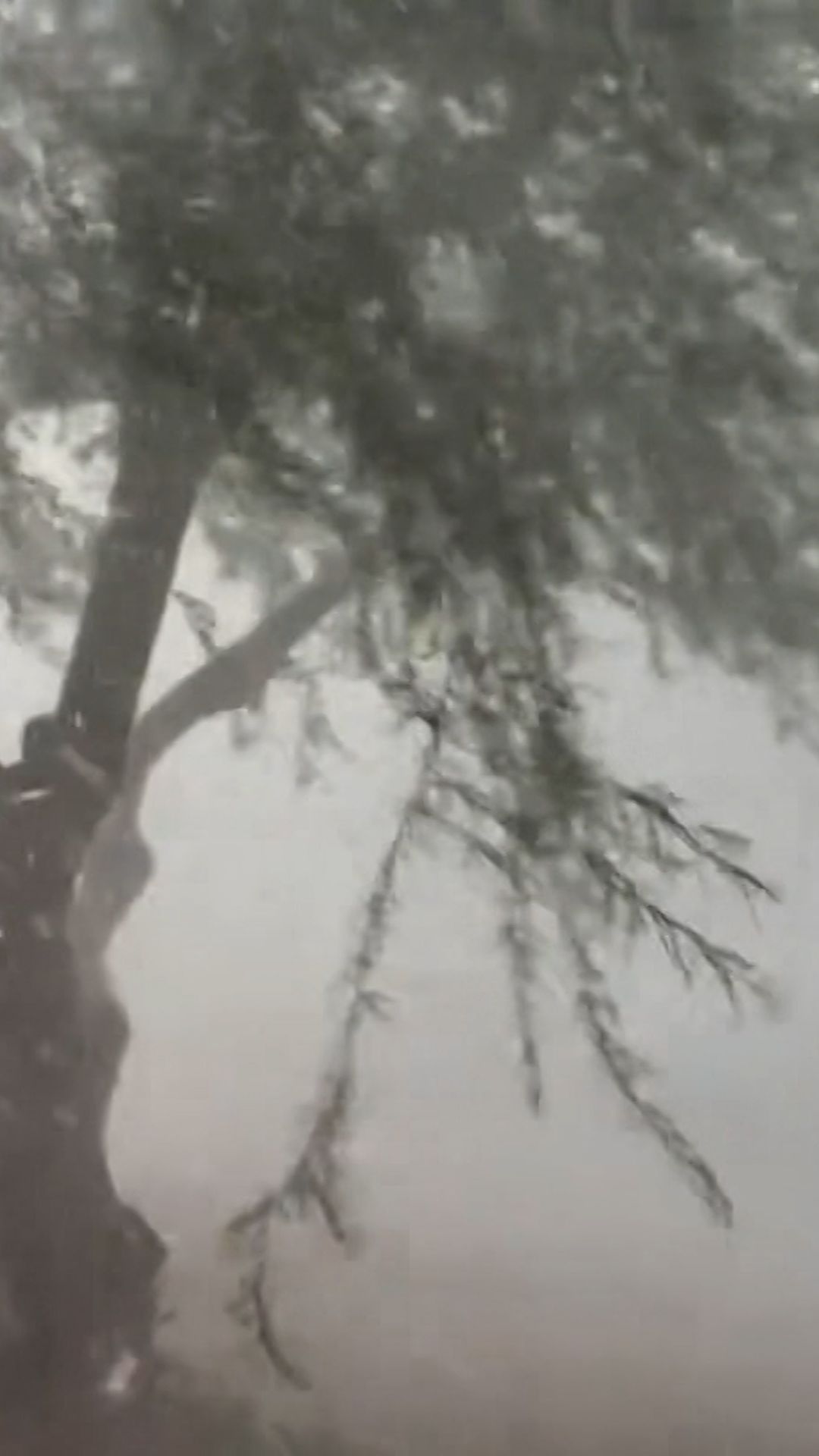 Microburst strikes Phoenix area-CL-vrtc.jpg