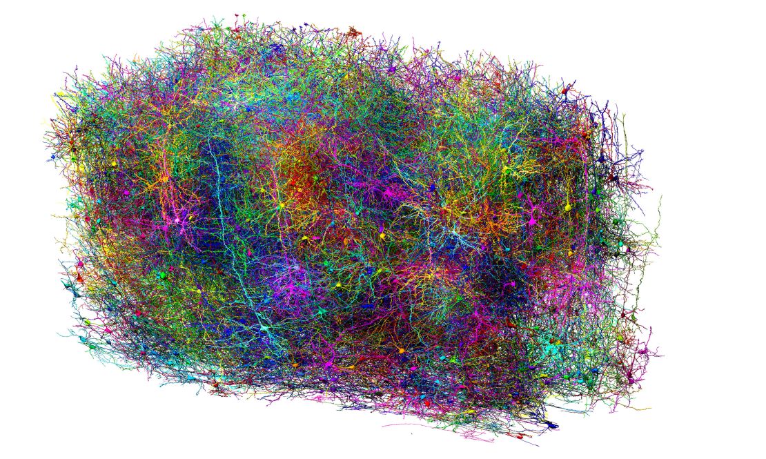 This rendering of the 3D card details more than 500 million synapses.