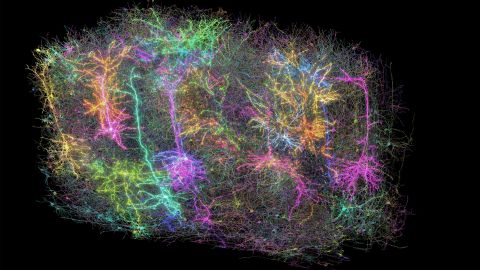 A slightly different blending of the baselayer and glowlayer where the saturation of the baselayer has been turned down to accentuate the contrast between the non-glowing and glowing neurons.