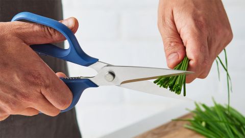 Misen Kitchen Shears