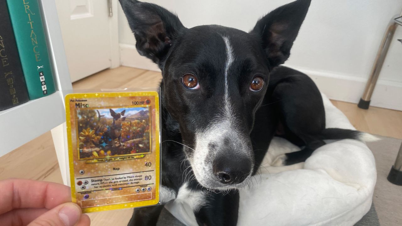 Miso pokemon card.jpg